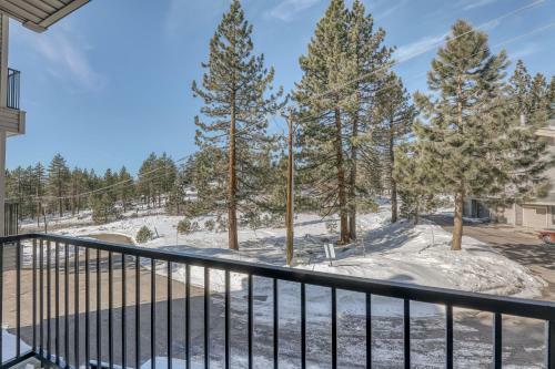South Star Pines Retreat