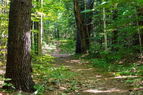 Apartamento 3 Day Buffer! River Access, Near Conway Village And Theme Park Condo