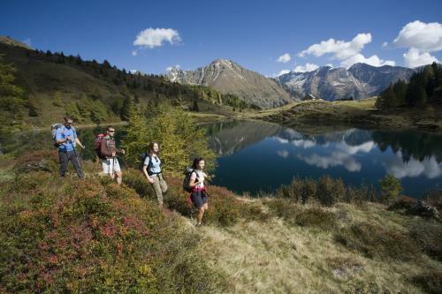 Hostal G�stehaus Trattner