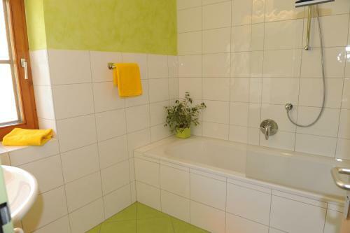 Apartment Mauser-m�hltaler