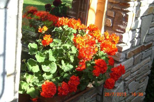 Apartamento Ferienwohnungen Schartner