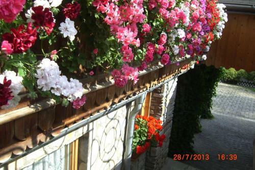 Apartamento Ferienwohnungen Schartner