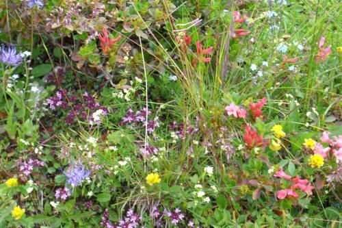 Apartamento Ferienwohnungen Schartner