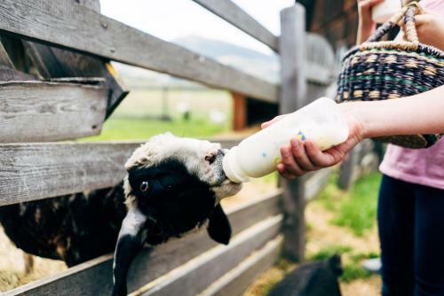 Agroturismo Gut Neusess