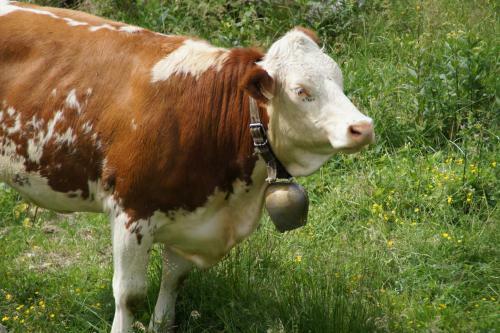 Agroturismo Gut Neusess