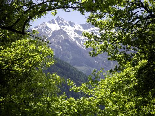 Hostal Pension Heilbad Burgwies