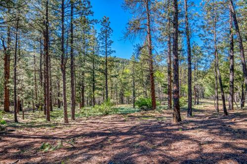 Tschirtart Cabin - 4 Bed 2 Bath Vacation Home In Angel Fire