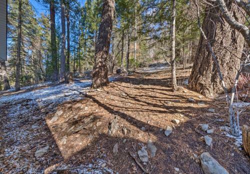 Pet-friendly Cabin - 5 Mins To Ski Cloudcroft Mtn!
