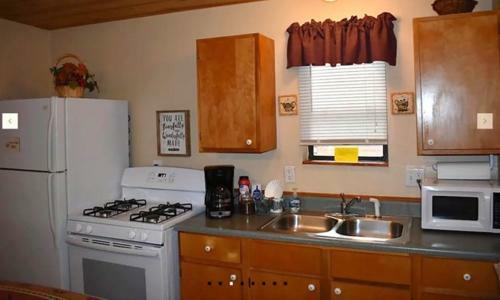 Cozy Bear 8, 1 Br, Fireplace, Midtown, Grill, Sleeps 4