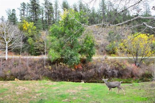 Apartamento Canyon Creek Condo 111