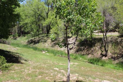 Apartamento Canyon Creek Condo 111