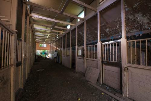 Tentrr - Abandoned Zoo Mountain View Maze