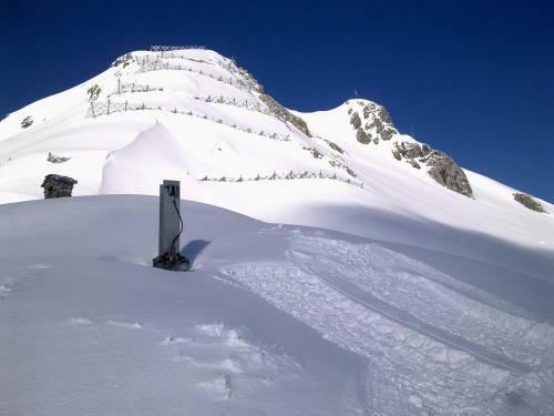 Hostal Pension Garni Alpenhof