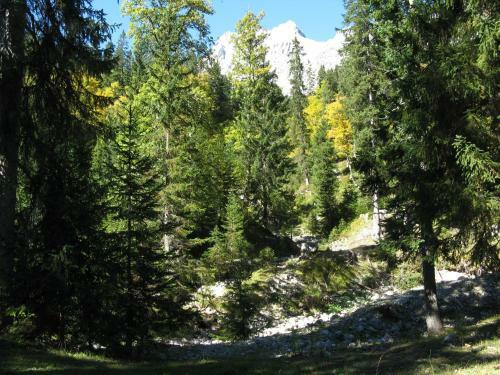 Apartamento Appartements Schneezauber