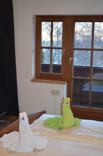 Hostal Happy Camp Hofherr