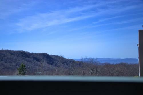 2102 - Silver 2 Bdrm - 1000 Sf Sleeps 4