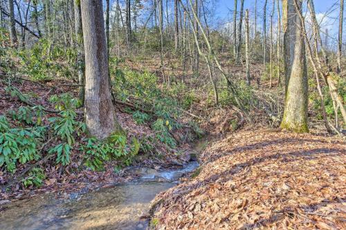 Secluded Cabin With Mtn Views - 9 Mi To Chimney Rock!