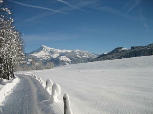 Hotel Alpenresidenz Adler