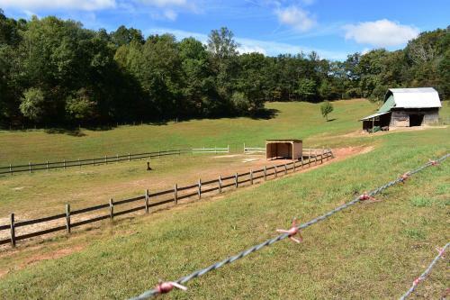 Bed & Breakfast Wing & Hoof Mountain Escape