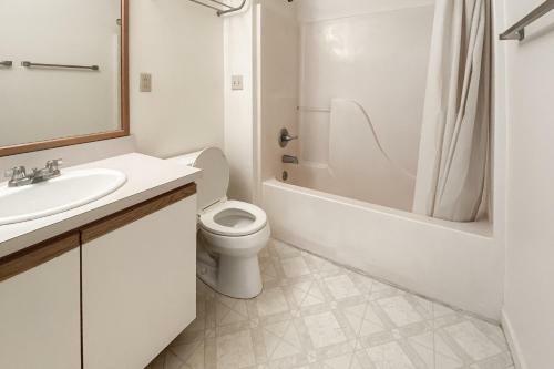 Yellowfin & Zebrafish