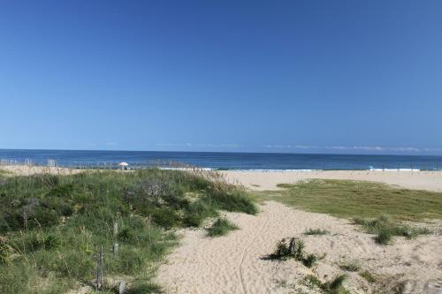 Yellowfin & Zebrafish