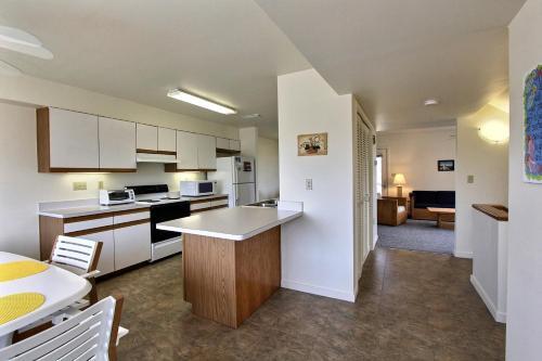 Yellowfin & Zebrafish