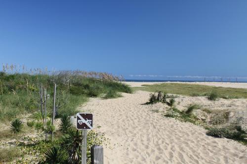 Yellowfin & Zebrafish