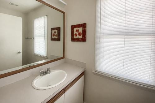 Yellowfin & Zebrafish