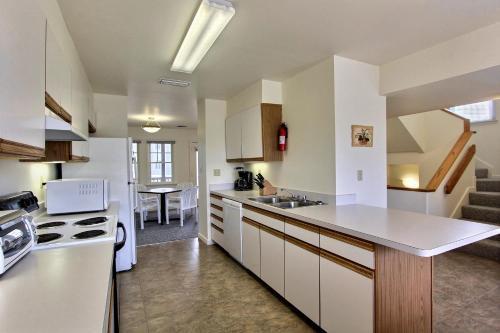 Yellowfin & Zebrafish