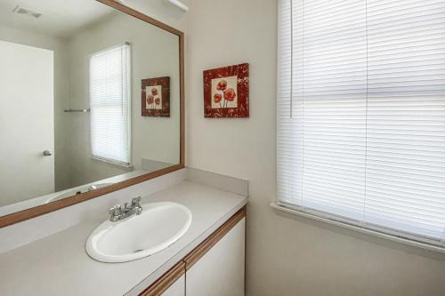 Yellowfin & Zebrafish