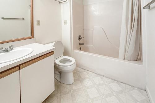 Yellowfin & Zebrafish