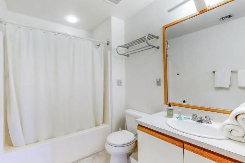 Yellowfin & Zebrafish