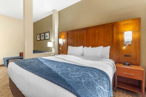 Hotel Comfort Suites Greensboro Airport