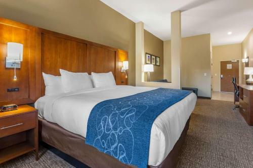 Hotel Comfort Suites Greensboro Airport