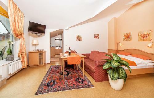 Apartamentos Appartementhaus Tristenau