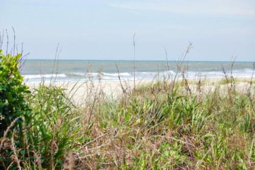 Sea Winds