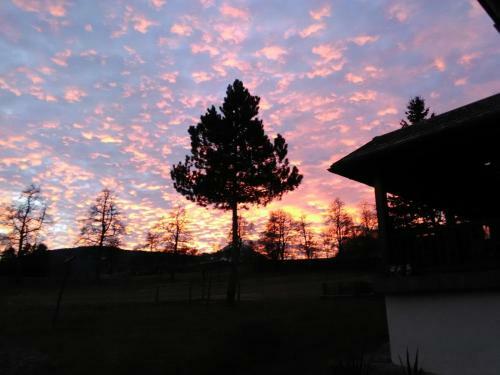 Apartamento Ferienwohnung Johanna