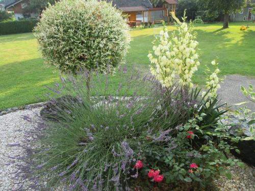 Apartamento Ferienwohnungen Valerie