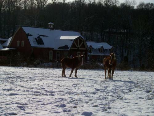 The Barn Inn Bed And Breakfast