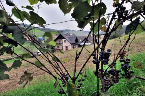 Hostal G�stehaus Anna