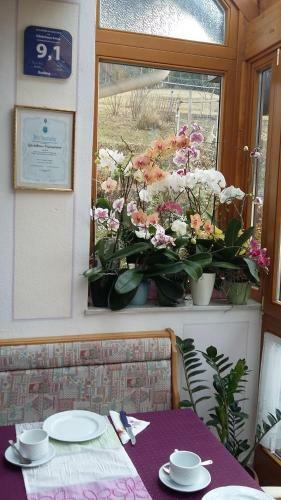 Hostal G�stehaus Anna