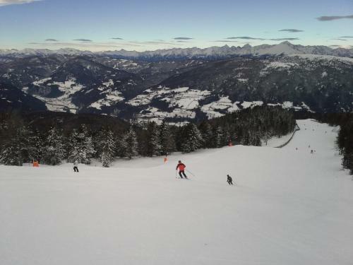 Hostal Gasthof Trattner Pension Waldhof