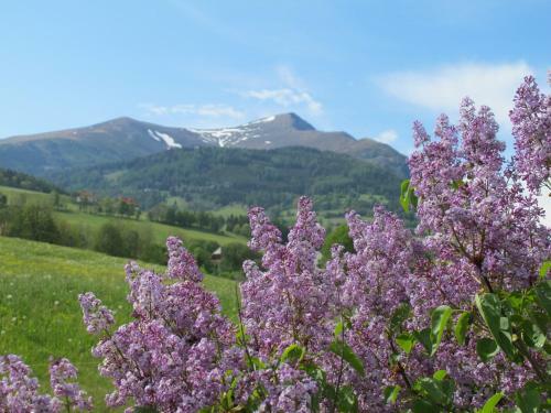 Hostal Gasthof Trattner Pension Waldhof