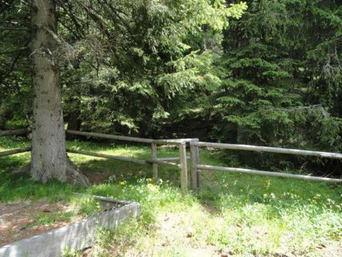 Bed & Breakfast Pension Edelweiss