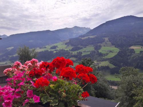 Apartamento Bergbauernhof Untermoos