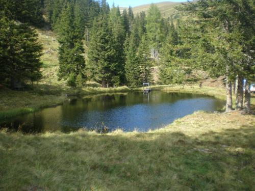 Almrauschh�tte Markus