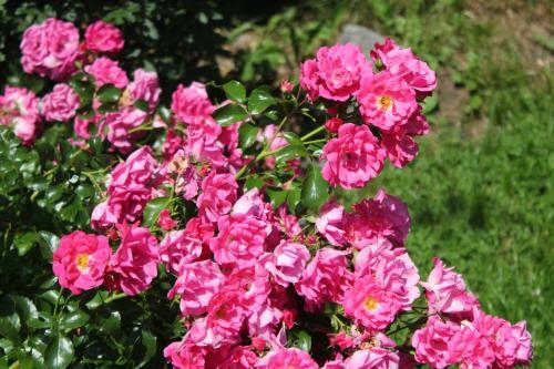 Apartamento Landhaus L�scher