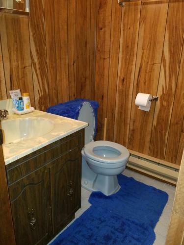 Saw Creek Cabin - Regent Hilltop