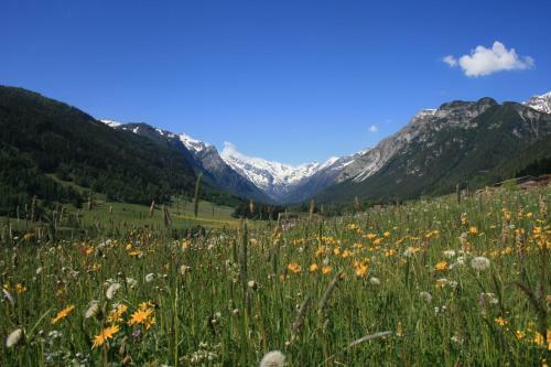 Hotel Alpengasthof Hohe Burg