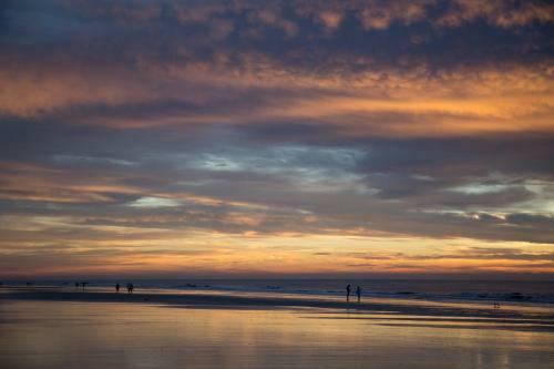 Captain's Walk 448